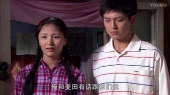 葵花进城在线观看,梦想绽放的青春之旅  第2张